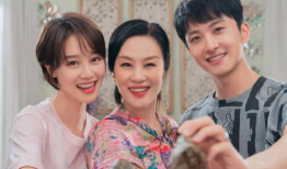 婆婆电视剧,一部揭示家庭和谐的电视剧