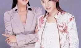 姐妹花电视剧,命运交织的姐妹情深